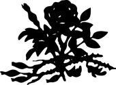 Liturgisk rose symbol