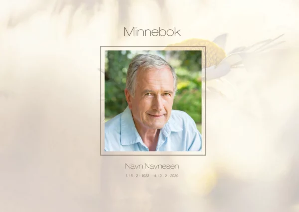 Minnebok